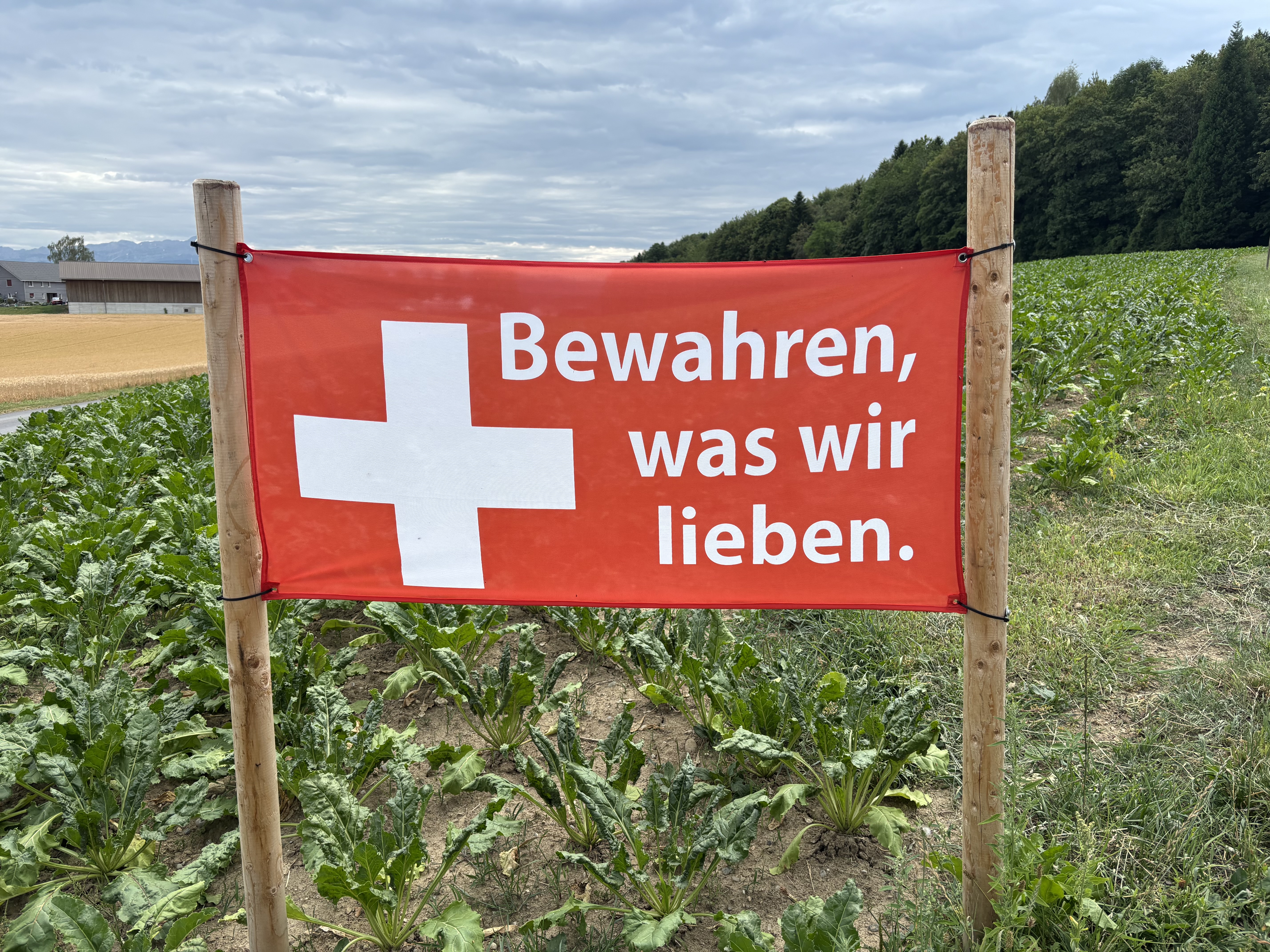 Schweizer Fahne